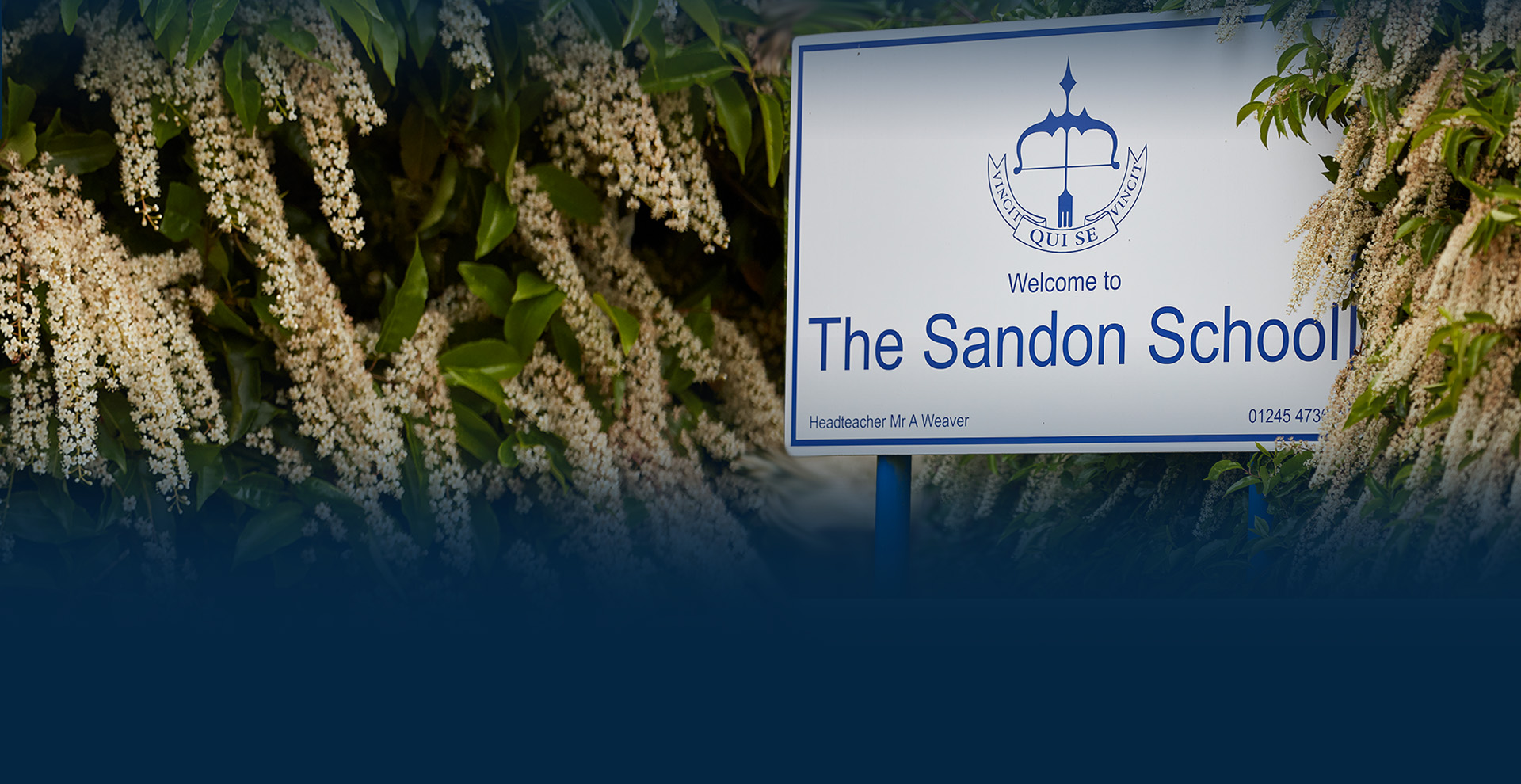 A photo from The Sandon School